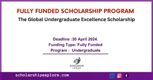 Undergrduate scholarship