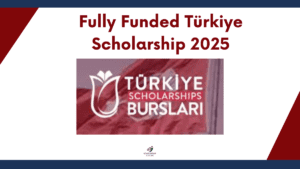 Turkey Government scholarship