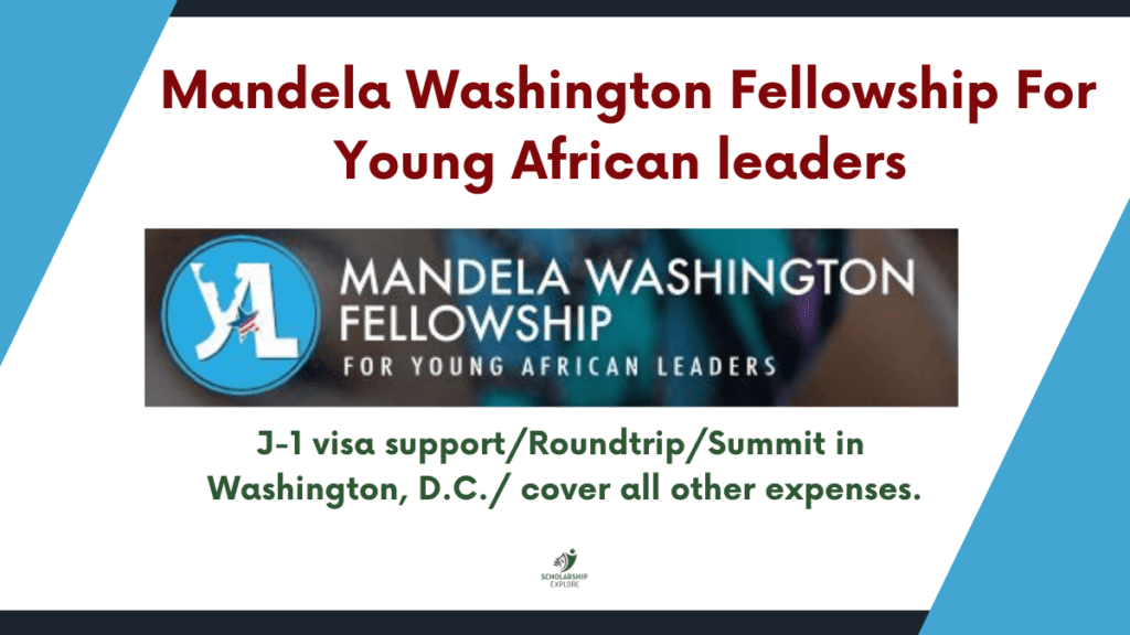 Mandela Washington Fellowship