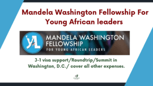 Mandela Washington Fellowship