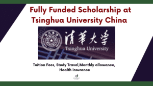 Tsinghua University Scholarship 2025