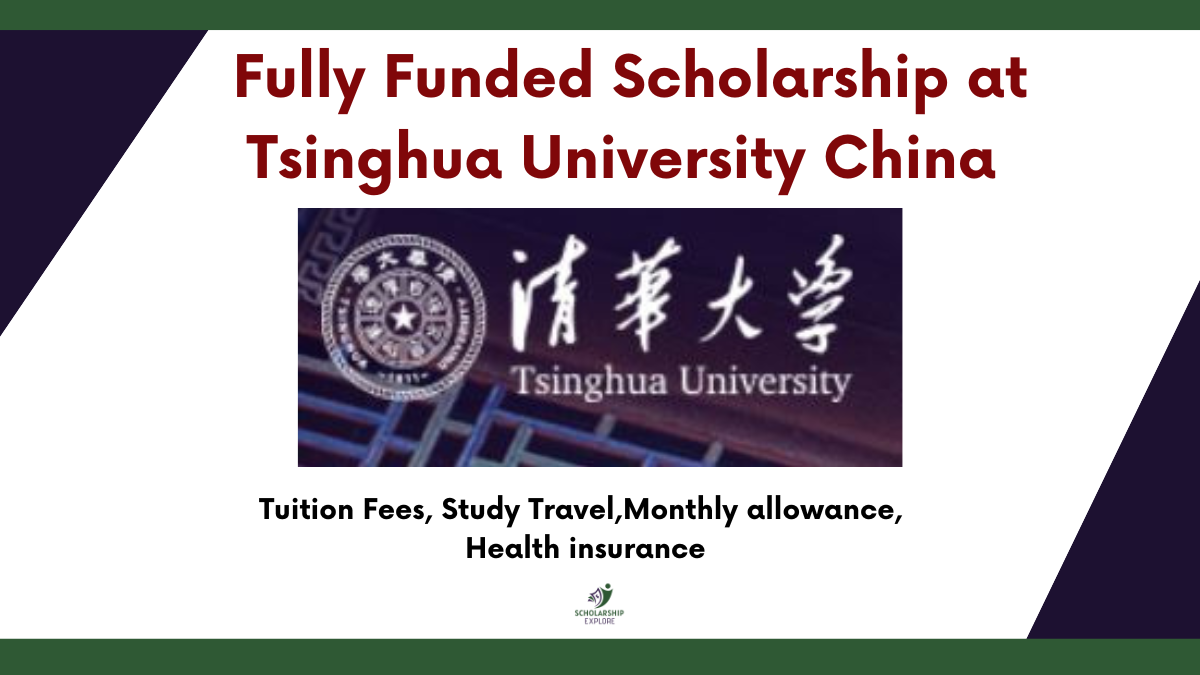 Tsinghua University Scholarship 2025